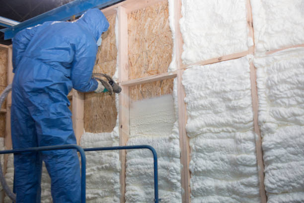 Best Insulation Air Sealing in Watergate, FL